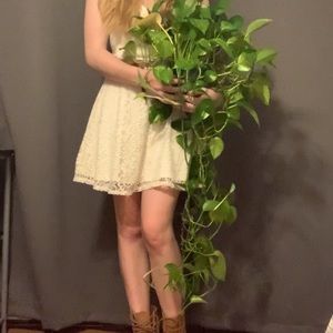 Off white lace mini dress; used